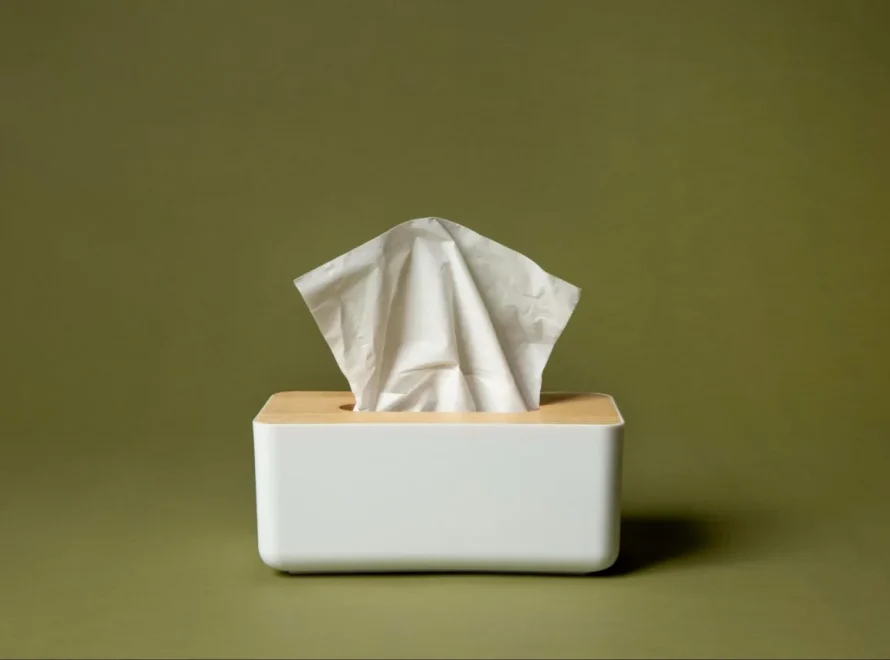 Tips Memilih Tisu Bambu Ramah Lingkungan yang Berkualitas