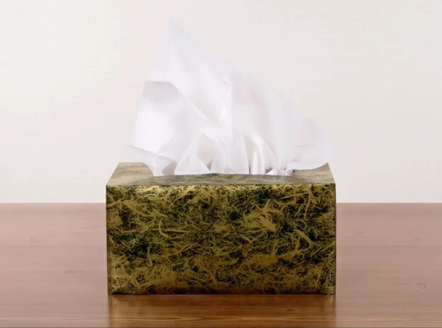 Tisu Terbuat dari Apa: Sejarah, Proses, Bahan, dan Jenis-Jenis