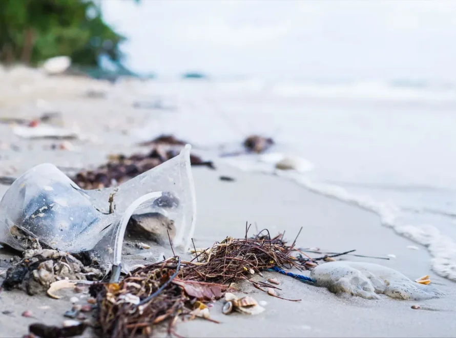 Pencemaran Lingkungan: Dampak & Solusi Nyata untuk Masa Depan Bumi