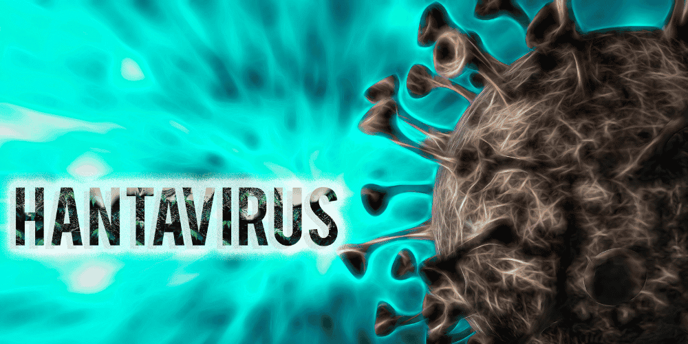 Hanta Virus