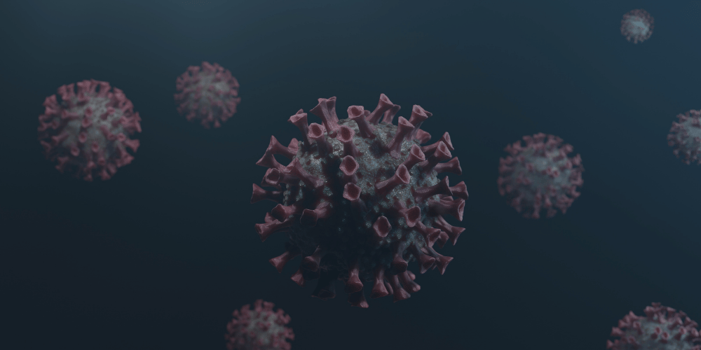 Virus Hanta