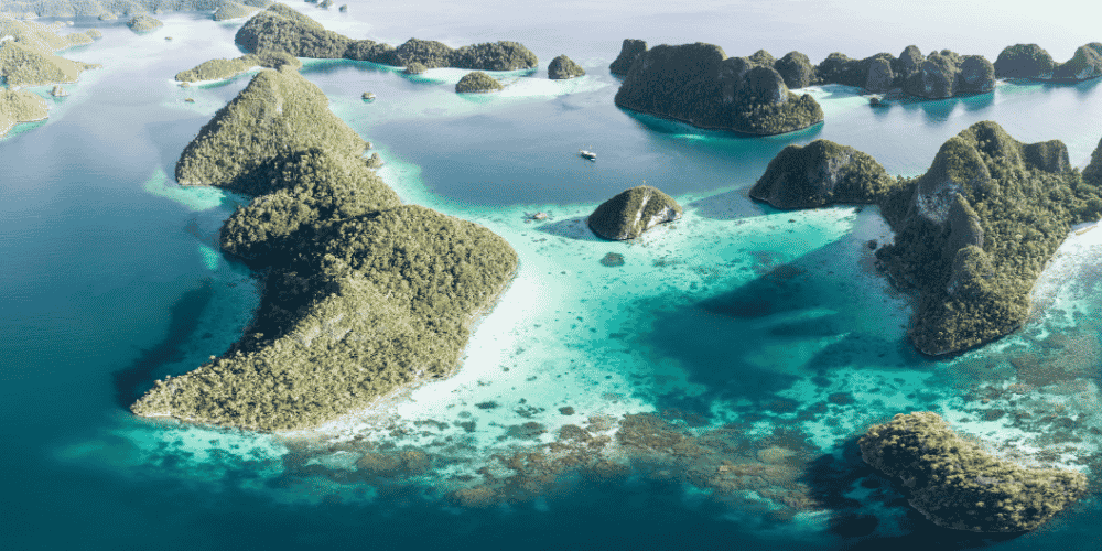 Raja Ampat Miutiss
